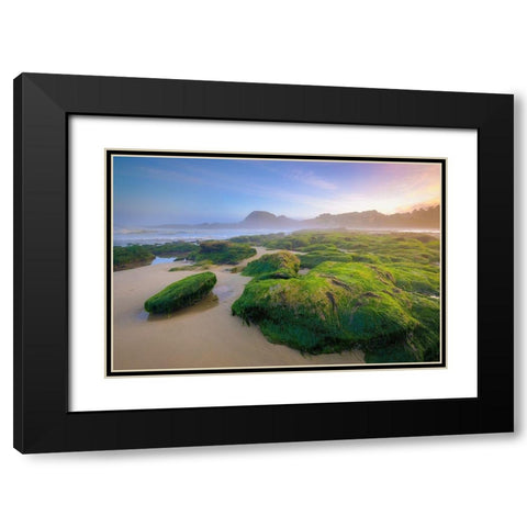 Green Rocks Black Modern Wood Framed Art Print with Double Matting by Taylor, Glenn