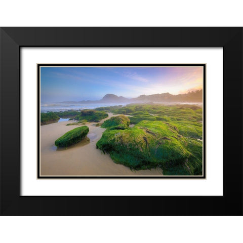 Green Rocks Black Modern Wood Framed Art Print with Double Matting by Taylor, Glenn
