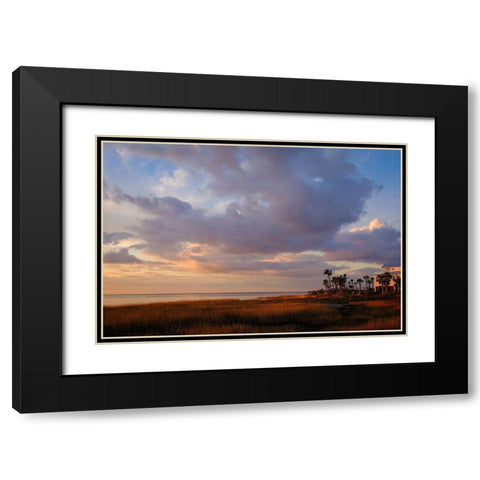 Marsh View Black Modern Wood Framed Art Print with Double Matting by Taylor, Glenn