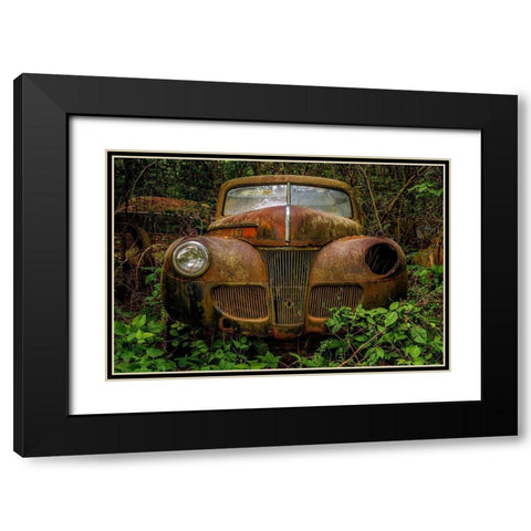 Old Bessy 1 Black Modern Wood Framed Art Print with Double Matting by Taylor, Glenn