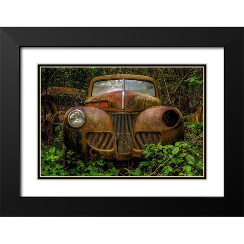 Old Bessy 1 Black Modern Wood Framed Art Print with Double Matting by Taylor, Glenn