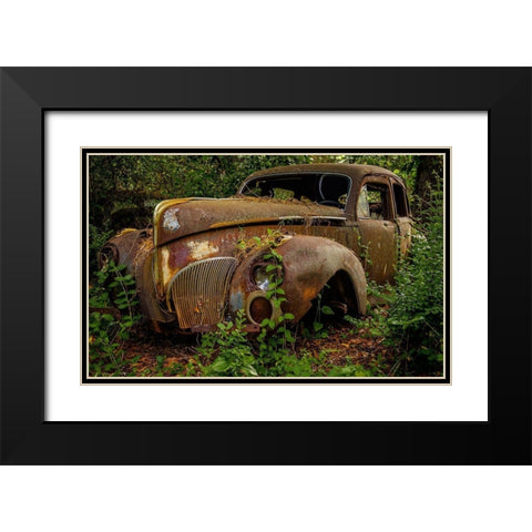 Old Bessy 2 Black Modern Wood Framed Art Print with Double Matting by Taylor, Glenn