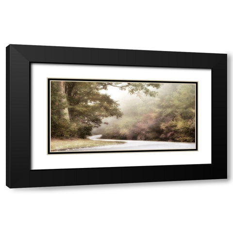 Blue Ridge Parkway Black Modern Wood Framed Art Print with Double Matting by Poinski, Dianne