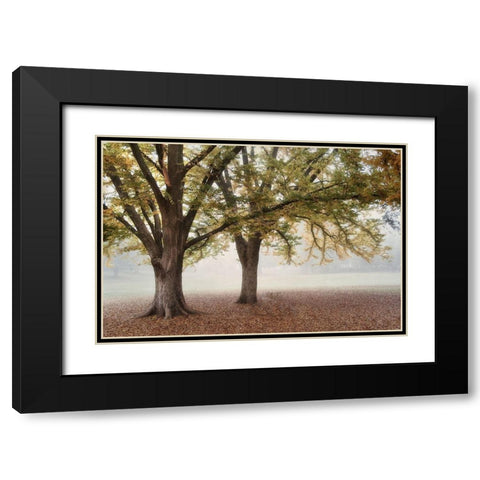 Park 1A Black Modern Wood Framed Art Print with Double Matting by Poinski, Dianne