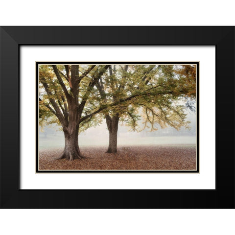 Park 1A Black Modern Wood Framed Art Print with Double Matting by Poinski, Dianne