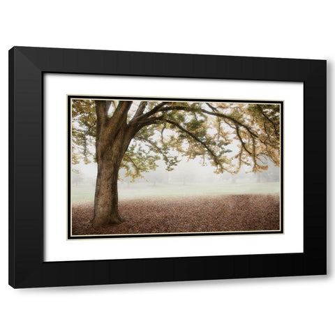 Park 1 Black Modern Wood Framed Art Print with Double Matting by Poinski, Dianne