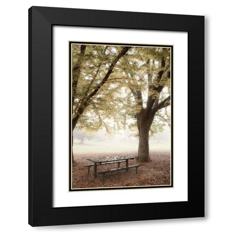 Park 4 Black Modern Wood Framed Art Print with Double Matting by Poinski, Dianne