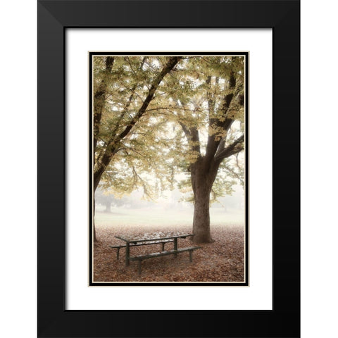 Park 4 Black Modern Wood Framed Art Print with Double Matting by Poinski, Dianne