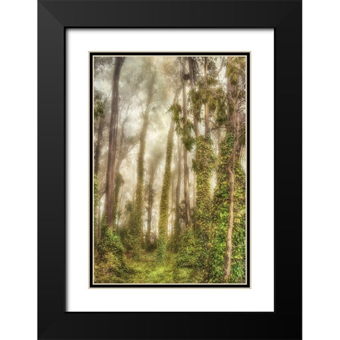 Presidio I Black Modern Wood Framed Art Print with Double Matting by Poinski, Dianne