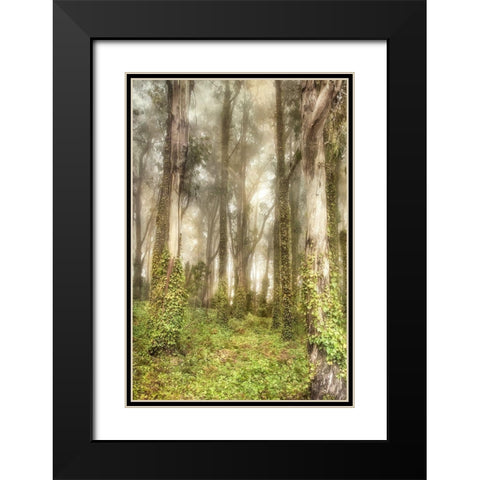 Presidio II Black Modern Wood Framed Art Print with Double Matting by Poinski, Dianne