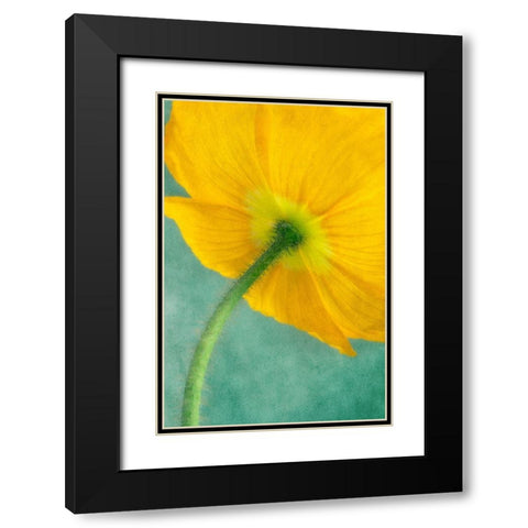 Poppy 5 Black Modern Wood Framed Art Print with Double Matting by Poinski, Dianne
