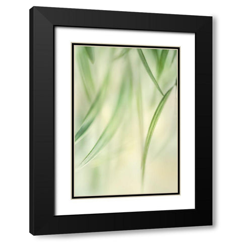Harmonic 2 Black Modern Wood Framed Art Print with Double Matting by Poinski, Dianne