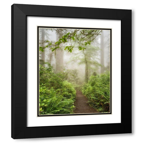 Summer Fog Black Modern Wood Framed Art Print with Double Matting by Poinski, Dianne