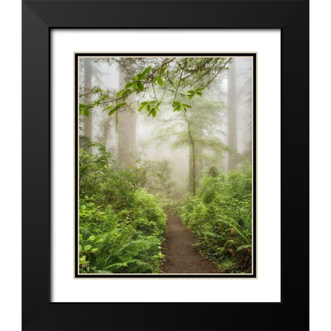 Summer Fog Black Modern Wood Framed Art Print with Double Matting by Poinski, Dianne