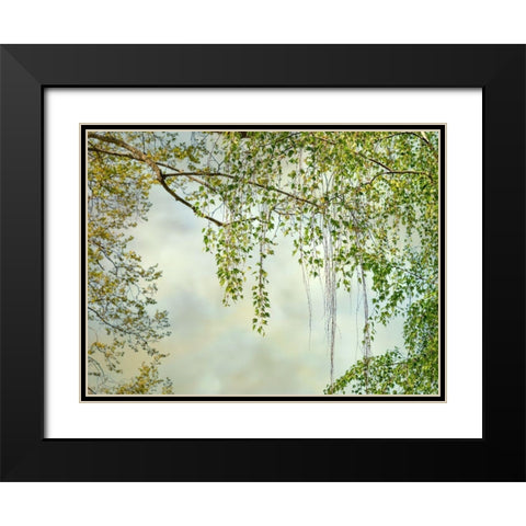 Summer Afternoon Black Modern Wood Framed Art Print with Double Matting by Poinski, Dianne