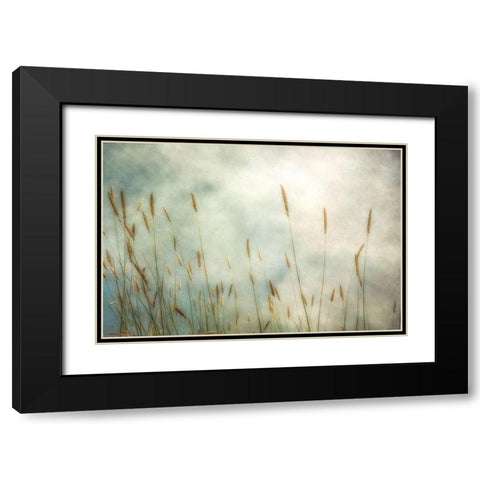 Dune Grass 2 Black Modern Wood Framed Art Print with Double Matting by Poinski, Dianne