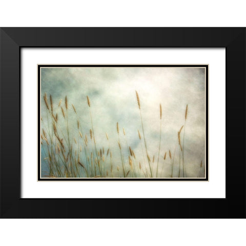 Dune Grass 2 Black Modern Wood Framed Art Print with Double Matting by Poinski, Dianne