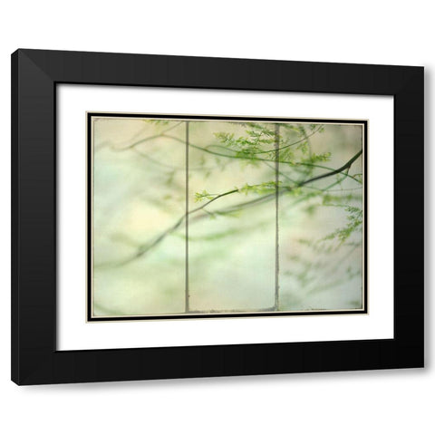 Delicate Light Black Modern Wood Framed Art Print with Double Matting by Poinski, Dianne