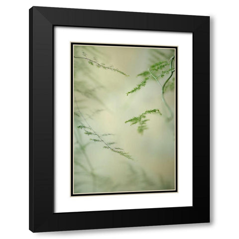 Soft Adagio 1 Black Modern Wood Framed Art Print with Double Matting by Poinski, Dianne