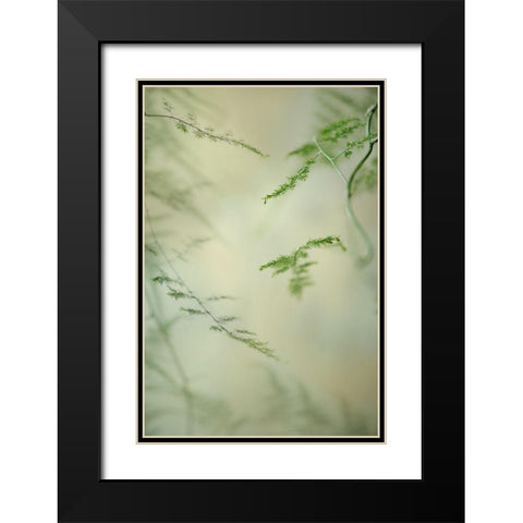 Soft Adagio 1 Black Modern Wood Framed Art Print with Double Matting by Poinski, Dianne