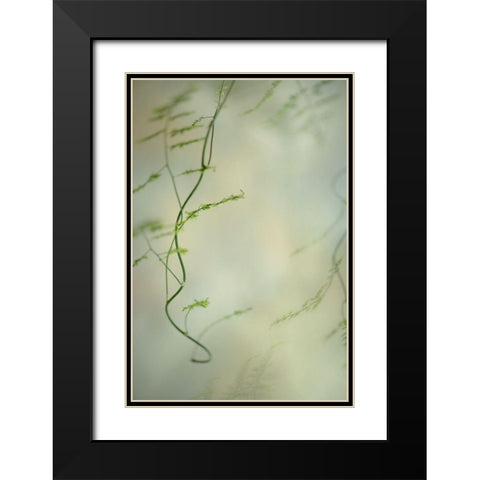 Soft Adagio 2 Black Modern Wood Framed Art Print with Double Matting by Poinski, Dianne