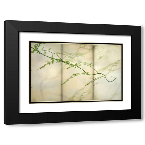 Delicate Light 2 Black Modern Wood Framed Art Print with Double Matting by Poinski, Dianne
