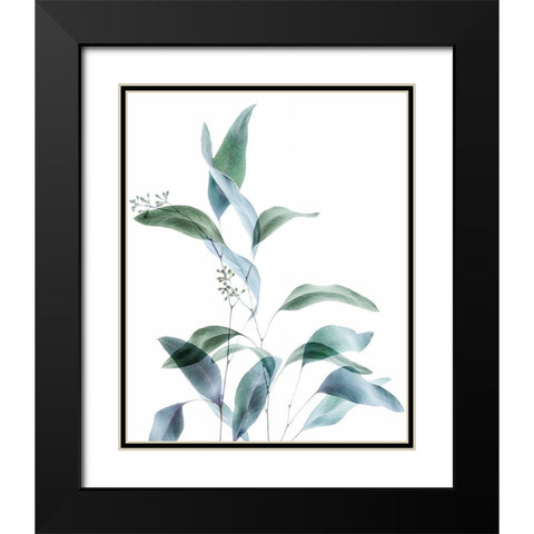 Gentle Botanical 1 Black Modern Wood Framed Art Print with Double Matting by Poinski, Dianne