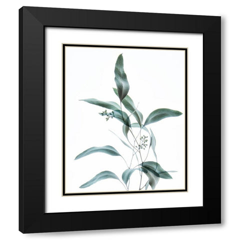 Gentle Botanical 2 Black Modern Wood Framed Art Print with Double Matting by Poinski, Dianne