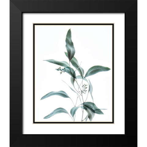 Gentle Botanical 2 Black Modern Wood Framed Art Print with Double Matting by Poinski, Dianne