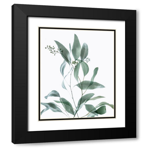 Gentle Botanical 3 Black Modern Wood Framed Art Print with Double Matting by Poinski, Dianne
