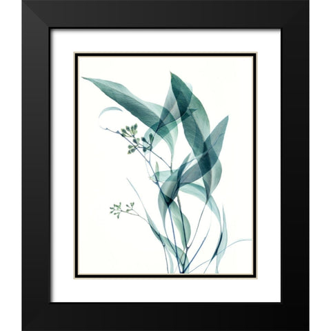 Gentle Botanical 4 Black Modern Wood Framed Art Print with Double Matting by Poinski, Dianne