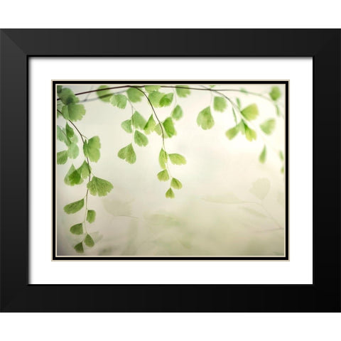 Petit Feuilles 1 Black Modern Wood Framed Art Print with Double Matting by Poinski, Dianne