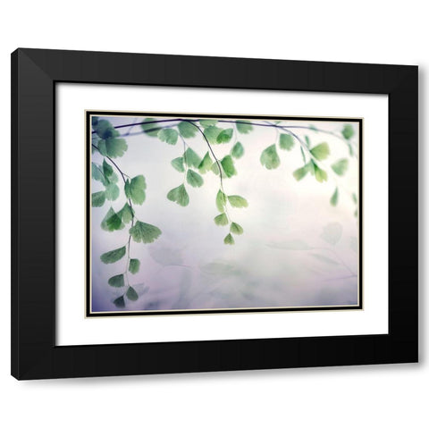 Fallen 1 Black Modern Wood Framed Art Print with Double Matting by Poinski, Dianne