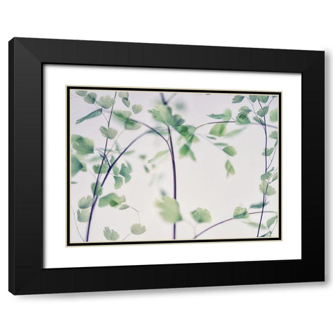 Fallen 2 Black Modern Wood Framed Art Print with Double Matting by Poinski, Dianne