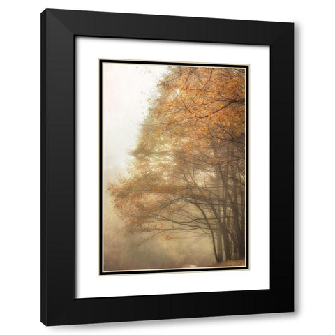Woods Edge 2 Black Modern Wood Framed Art Print with Double Matting by Poinski, Dianne