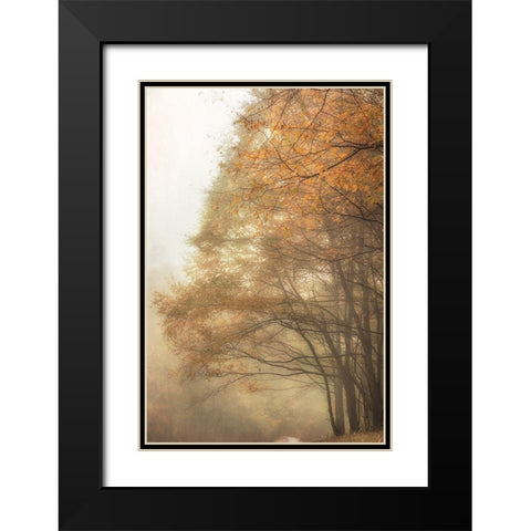 Woods Edge 2 Black Modern Wood Framed Art Print with Double Matting by Poinski, Dianne