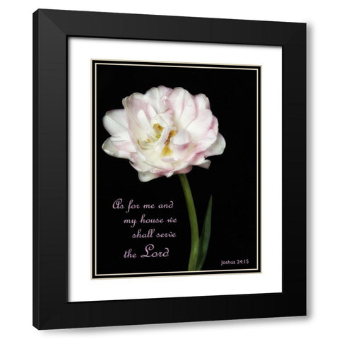 Perfect Petals 2 Black Modern Wood Framed Art Print with Double Matting by Poinski, Dianne