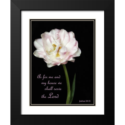 Perfect Petals 2 Black Modern Wood Framed Art Print with Double Matting by Poinski, Dianne