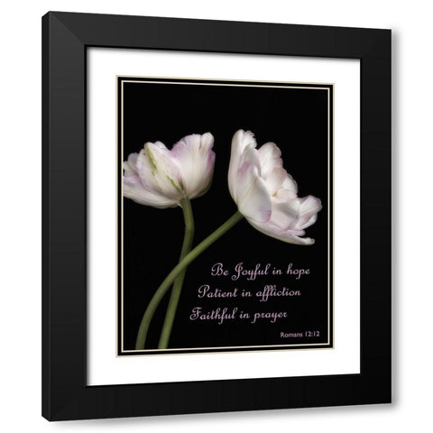 Perfect Petals 3 Black Modern Wood Framed Art Print with Double Matting by Poinski, Dianne