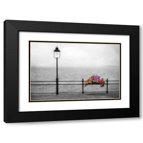 Bouquet in the Mist Black Modern Wood Framed Art Print with Double Matting by Poinski, Dianne