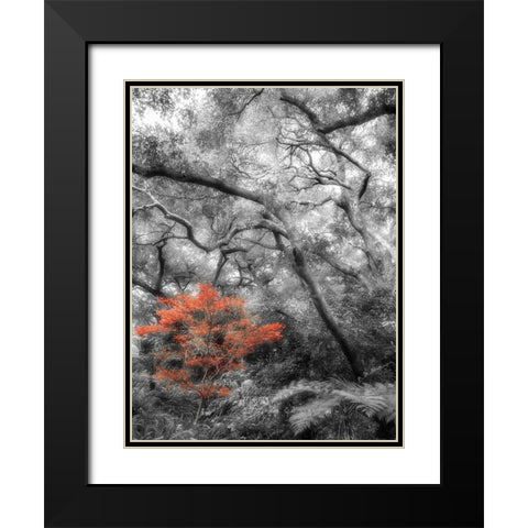 Splash in the Forest Black Modern Wood Framed Art Print with Double Matting by Poinski, Dianne