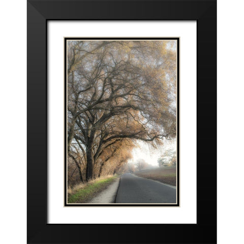 The Road Less Traveled 1 Black Modern Wood Framed Art Print with Double Matting by Poinski, Dianne