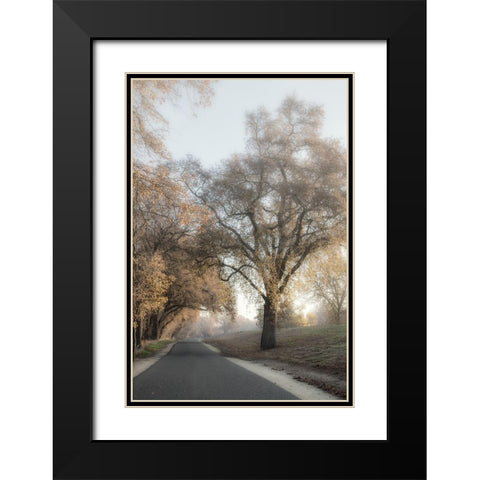 The Road Less Traveled 2 Black Modern Wood Framed Art Print with Double Matting by Poinski, Dianne