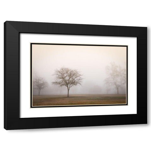 Trees in Fog 2 Black Modern Wood Framed Art Print with Double Matting by Poinski, Dianne