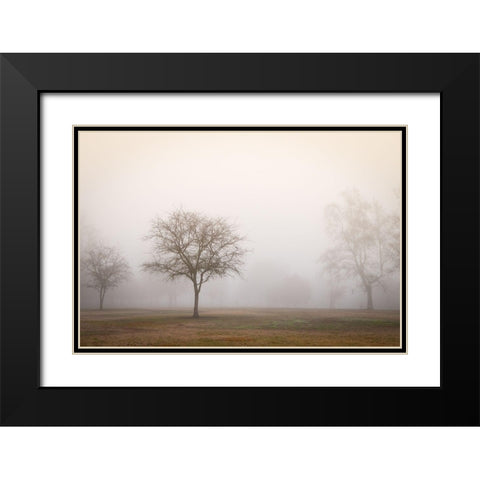 Trees in Fog 2 Black Modern Wood Framed Art Print with Double Matting by Poinski, Dianne