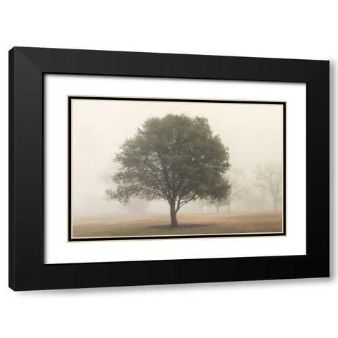 Trees in Fog 6 Black Modern Wood Framed Art Print with Double Matting by Poinski, Dianne