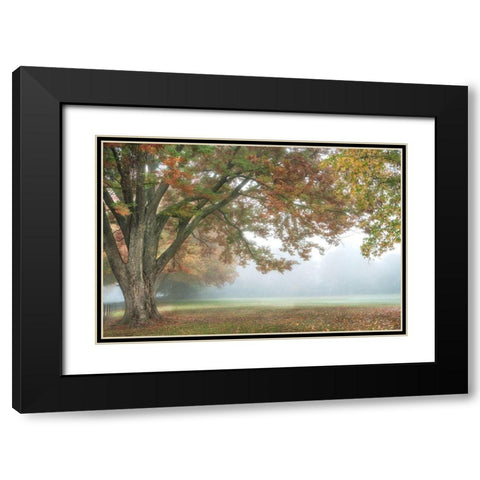 The Meadow 1 Black Modern Wood Framed Art Print with Double Matting by Poinski, Dianne