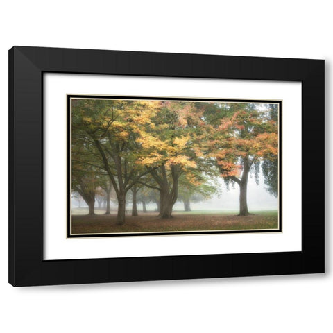 The Meadow 3 Black Modern Wood Framed Art Print with Double Matting by Poinski, Dianne