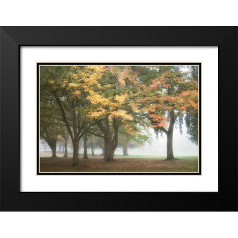 The Meadow 3 Black Modern Wood Framed Art Print with Double Matting by Poinski, Dianne