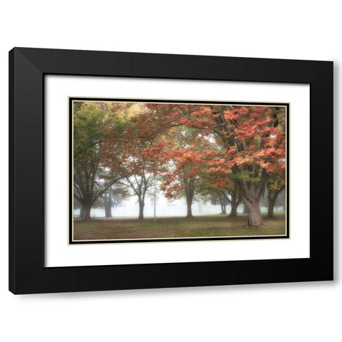 The Meadow 4 Black Modern Wood Framed Art Print with Double Matting by Poinski, Dianne